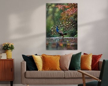 Peacock by Poster Art Shop