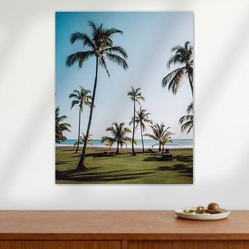 Tropisch strand met palmbomen | Panama | Reisfoto van Expeditie Aardbol