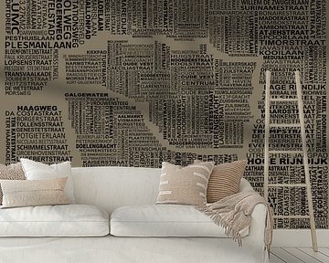 Kaart van Leiden van Stef van Campen