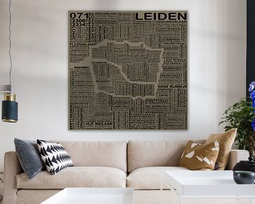 Kaart van Leiden van Stef van Campen