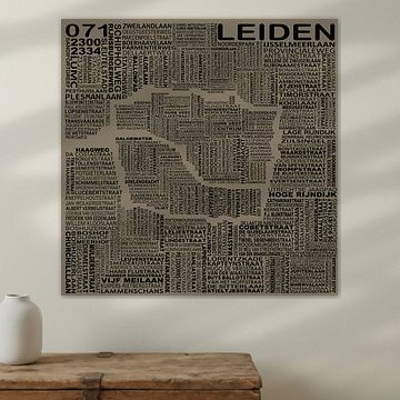 Karte von Leiden von Stef van Campen