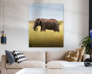 De Afrikaanse bosolifant van Steffon Reid