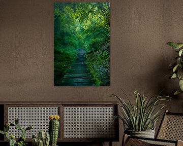 Een houten pad kronkelt door een groen bos van Geert Van Baelen
