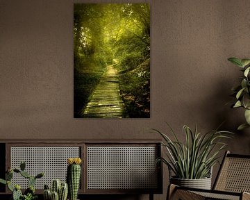 Een houten pad kronkelt door een groen bos van Geert Van Baelen