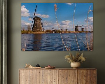 Kinderdijk Holland World Heritage van Brian Morgan