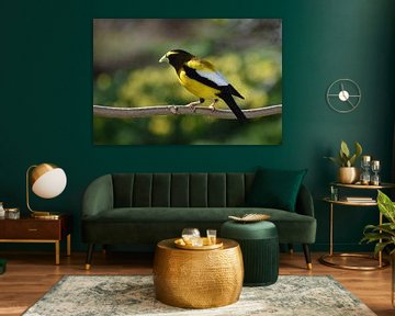 A large-billed bird wandering in the garden by Claude Laprise