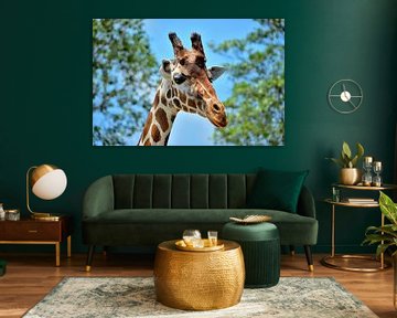 Girafe au zoo de Miami sur Karel Frielink