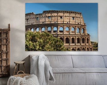 Colosseum Rome, Italy by Gunter Kirsch