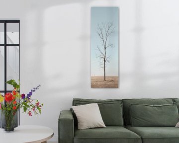 Arbre solitaire
