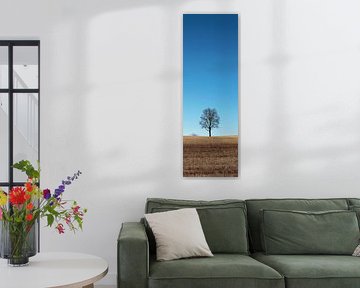 Arbre solitaire