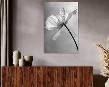 Bloem in zwart-wit van Poster Art Shop