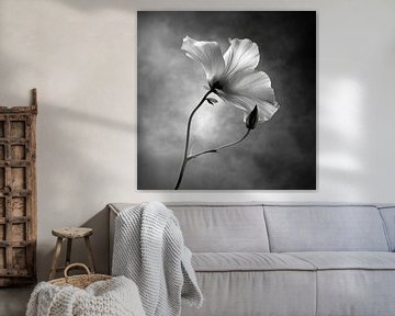 Flower in black and white by Poster Art Shop