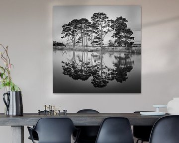 Het Dwingelderveld in Zwart-Wit van Henk Meijer Photography