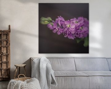 Fine Art Flowers van Carin Ivana