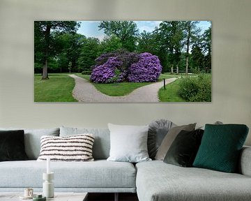 Rododendrons op Staverden
