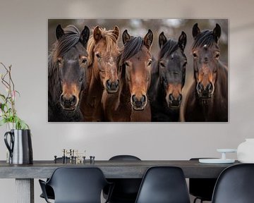 Paarden gezichten panorama van TheXclusive Art