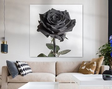Zwarte roos van TheXclusive Art