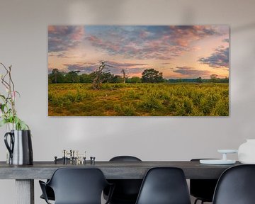 Panorama van een zonsopkomst in het Nationale Park Drentsche Aa van Henk Meijer Photography