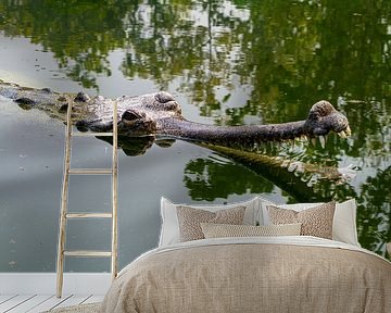 De Ganges Gavial in India