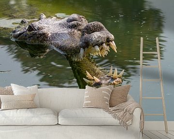 De Ganges Gavial in India