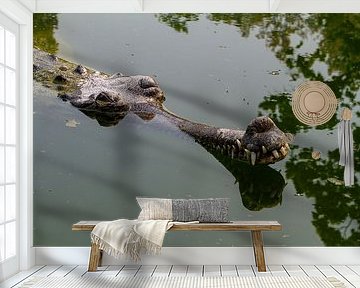 De Ganges Gavial in India