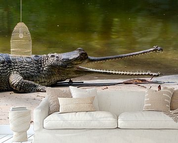 De Ganges Gavial in India