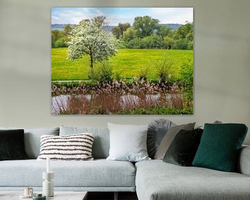 Landschap in de lente met een bloeiende boom van ManfredFotos