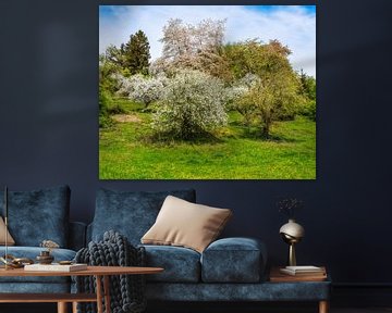 Landschap in de lente met een bloeiende boom van ManfredFotos