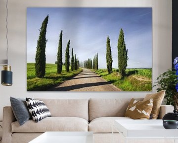 Cipressen en grindweg in Toscane, Italië van Stefano Orazzini