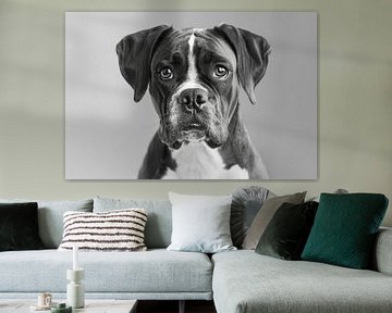 Boxer hond van Poster Art Shop
