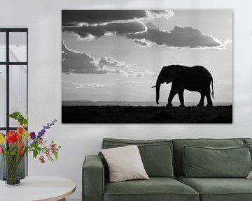Silhouet van olifant in zwart-wit van Poster Art Shop