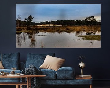 Loonse en Drunense Duinen