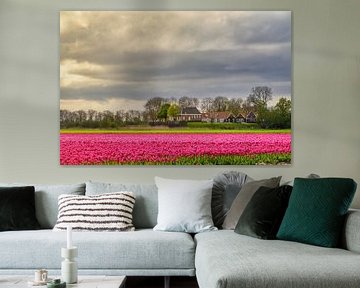 Schokland eiland met tulpen in de lente van Sjoerd van der Wal Fotografie