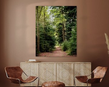 Oneindig pad in de bossen
