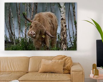 Highlander by Marjo Raap