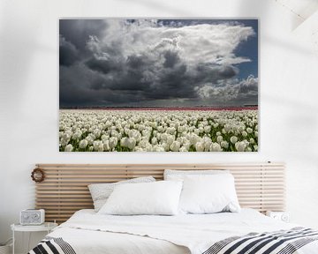 Witte Tulpen onder een echte Hollandse wolkenlucht van Gert Hartman