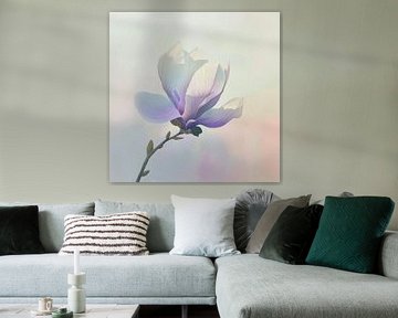 Magnolia blossom by Poster Art Shop