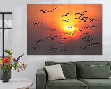 Seagulls sunset by Dick van Duijn