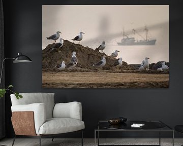 Seagulls with fishingboat by Dick van Duijn