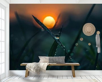 Morning dew at dusk - nature photography for your home by Poster Art Shop