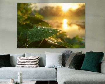 Ochtenddauw bij schemering - natuurfotografie voor thuis van Poster Art Shop