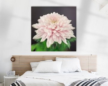 Fine Art SoftPink Flower van Carin Ivana