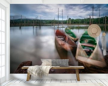 Moving boats by Peter Bijsterveld