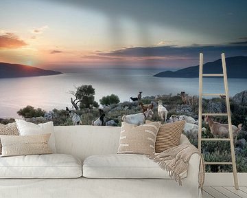 Morning goats by Peter Bijsterveld