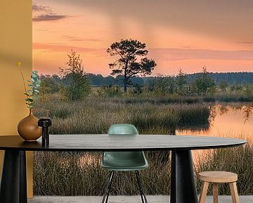 Panorama and sunrise in Dwingelderveld National Park by Henk Meijer Photography