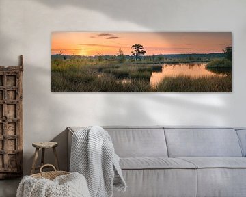 Panorama en zonsopkomst in het Nationale Park Dwingelderveld van Henk Meijer Photography