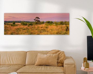 Panorama en zonsopkomst in het Nationale Park Dwingelderveld van Henk Meijer Photography