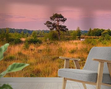 Panorama and sunrise in Dwingelderveld National Park by Henk Meijer Photography