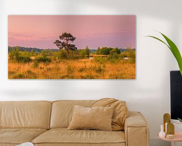 Panorama en zonsopkomst in het Nationale Park Dwingelderveld van Henk Meijer Photography