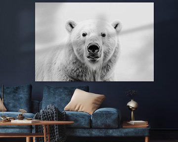 Ours polaire sur Poster Art Shop